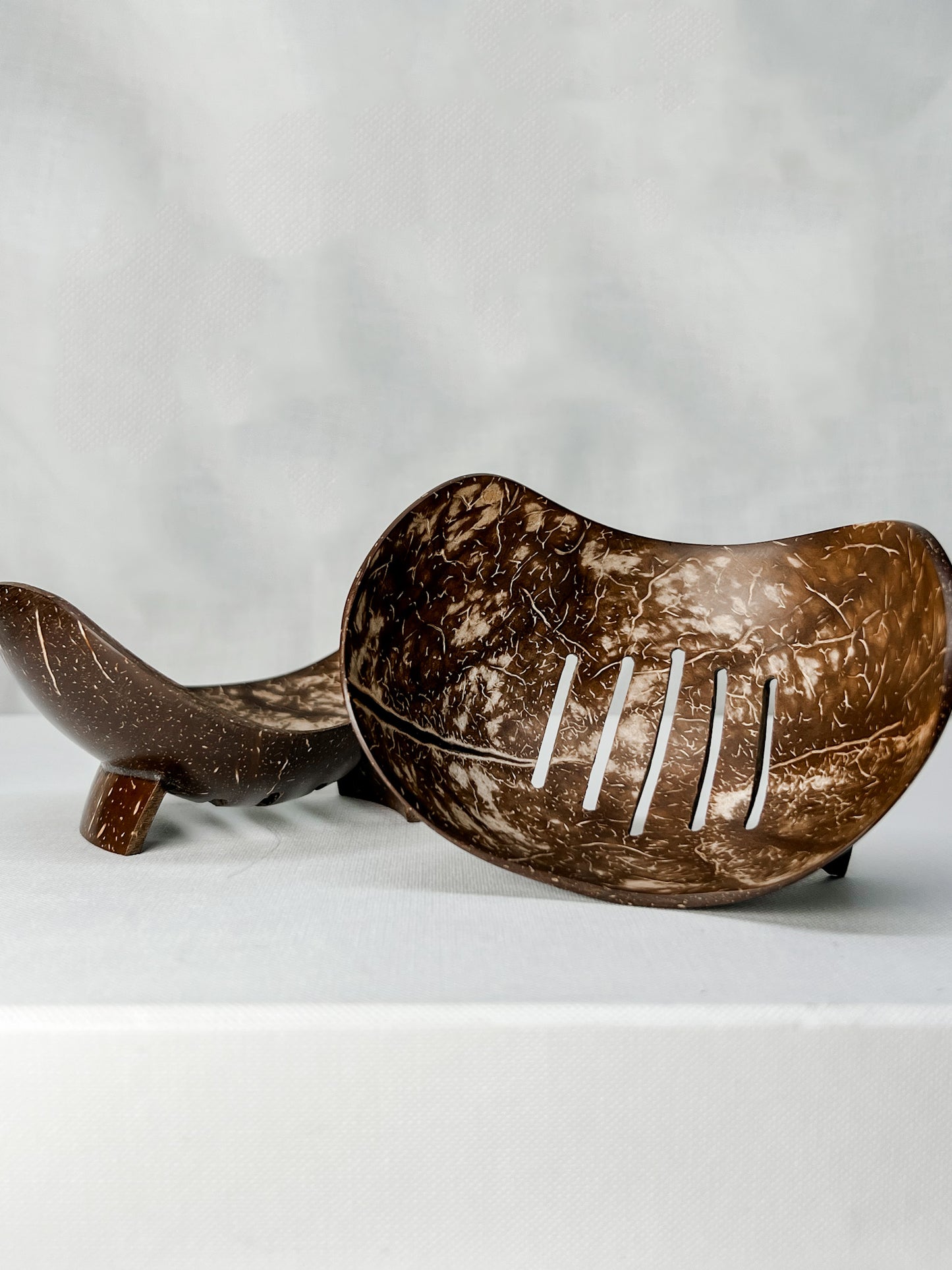 Coconut shell soap dish